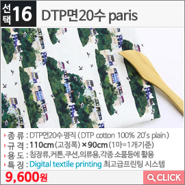 DTP면20수 paris