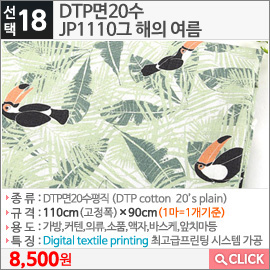 DTP면20수 JP1110그 해의 여름