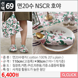 면20수 NSCR 호야