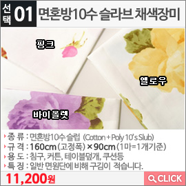 면혼방10수 슬라브 채색장미 바이올렛