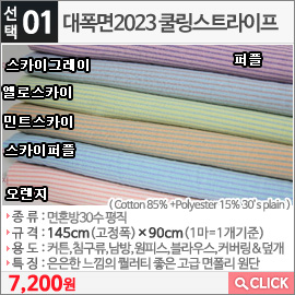 대폭면2023 쿨링스트라이프 퍼플