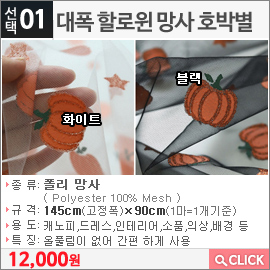 대폭 할로윈 망사 호박별 화이트