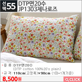 DTP면20수 JP1303제나로즈