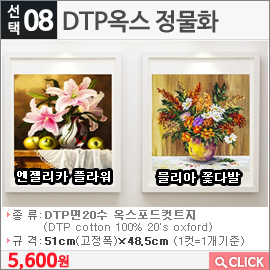 DTP옥스 정물화 엔젤리카 플라워