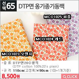 DTP면 옹기종기동백MCO1025 퍼플