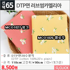 DTP면 러브썸카멜리아MCO1027 핑크