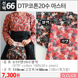 DTP코튼20수 아스터 가넷