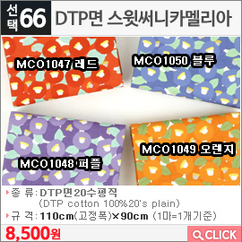 DTP면 스윗써니카멜리아MCO1050 블루