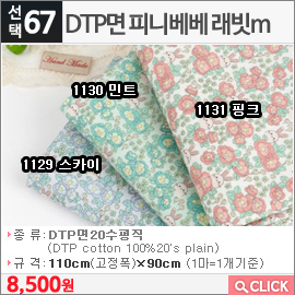 DTP면 피니베베 래빗m1129 스카이