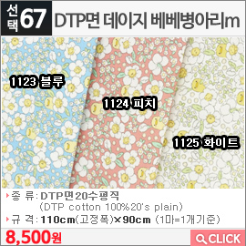 DTP면 데이지 베베병아리m1124 피치