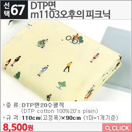 DTP면 m1103오후의 피크닉