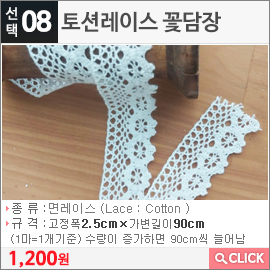 토션레이스 꽃담장