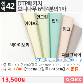 DTP패키지보니나무 6팩4분의1마