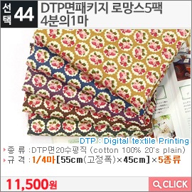 DTP면패키지 로망스5팩 4분의1마