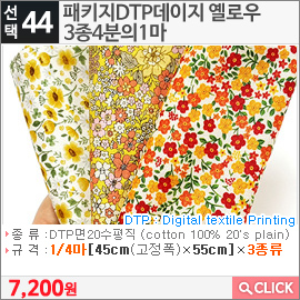 패키지DTP데이지 옐로우3종4분의1마