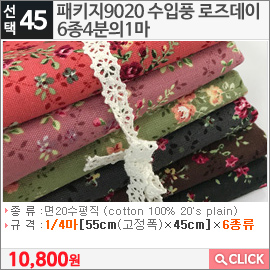 패키지9020 수입풍 로즈데이6종4분의1마